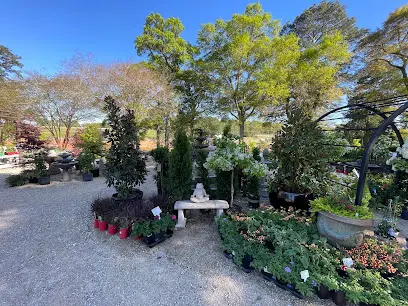 Buds N’ Blossoms: Nursery and Landscape Design